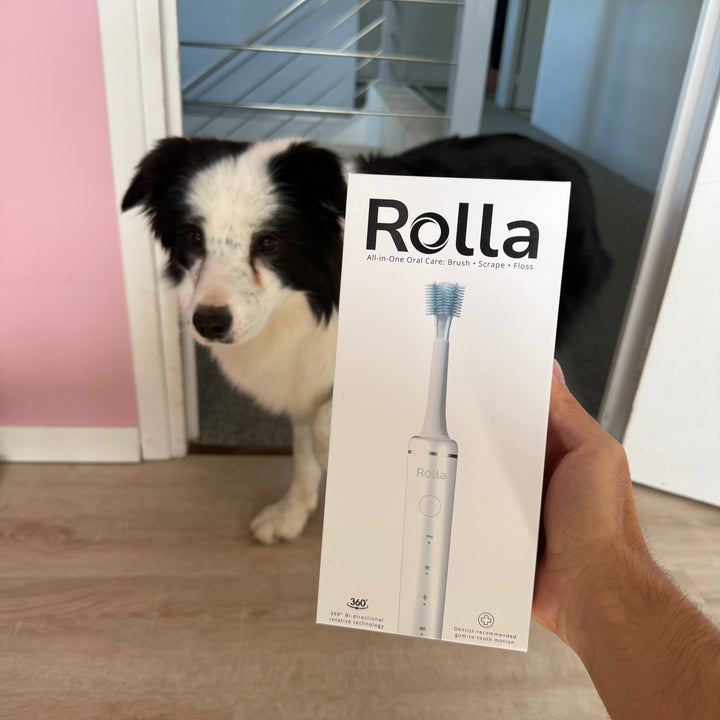 Review by セバスチャン